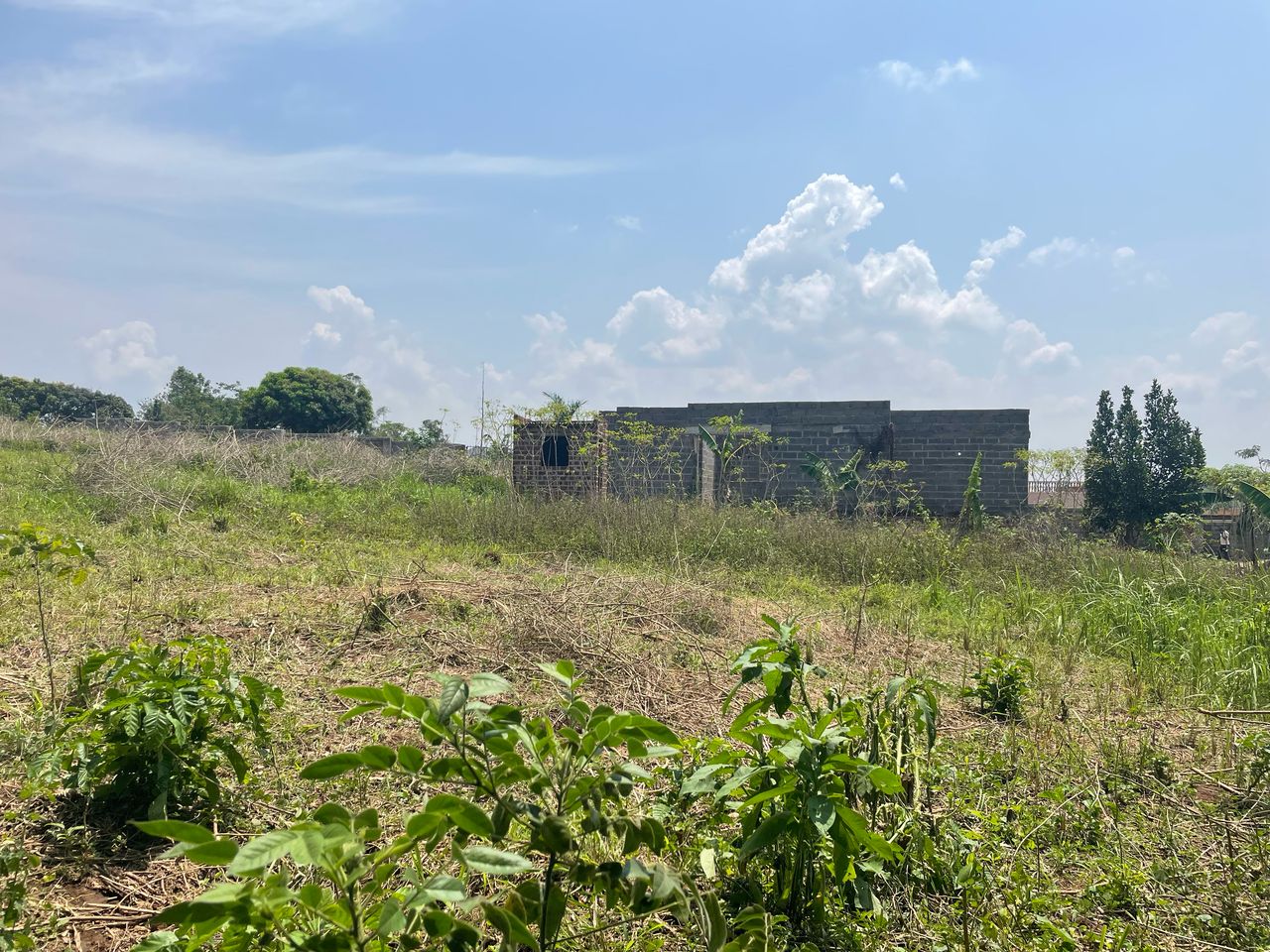 Gayaza-Kiwenda Yaket Estate — Affordable Land for Sale at Afredim Consults