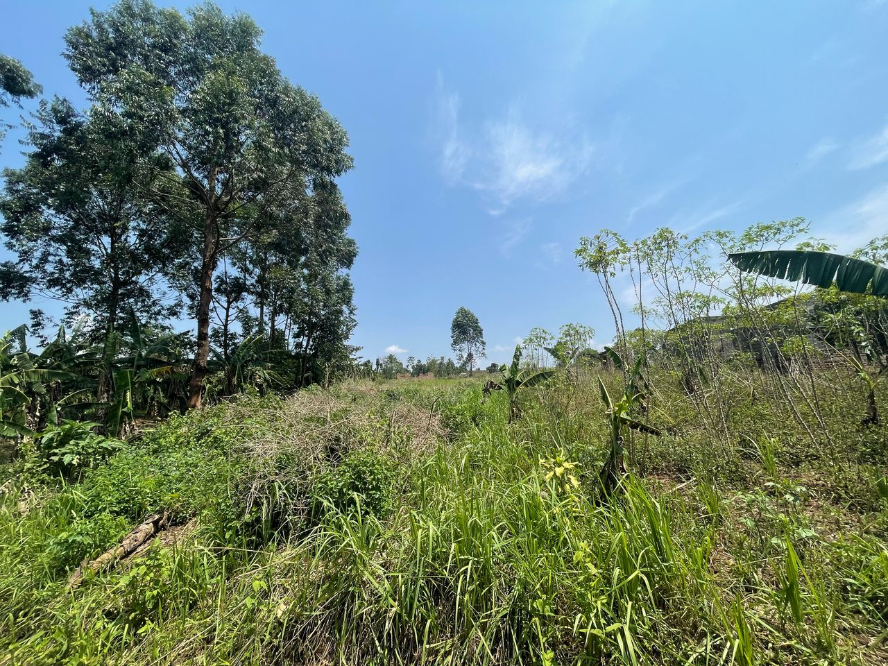 Gayaza-Kiwenda Yaket Estate — Affordable Land for Sale at Afredim Consults