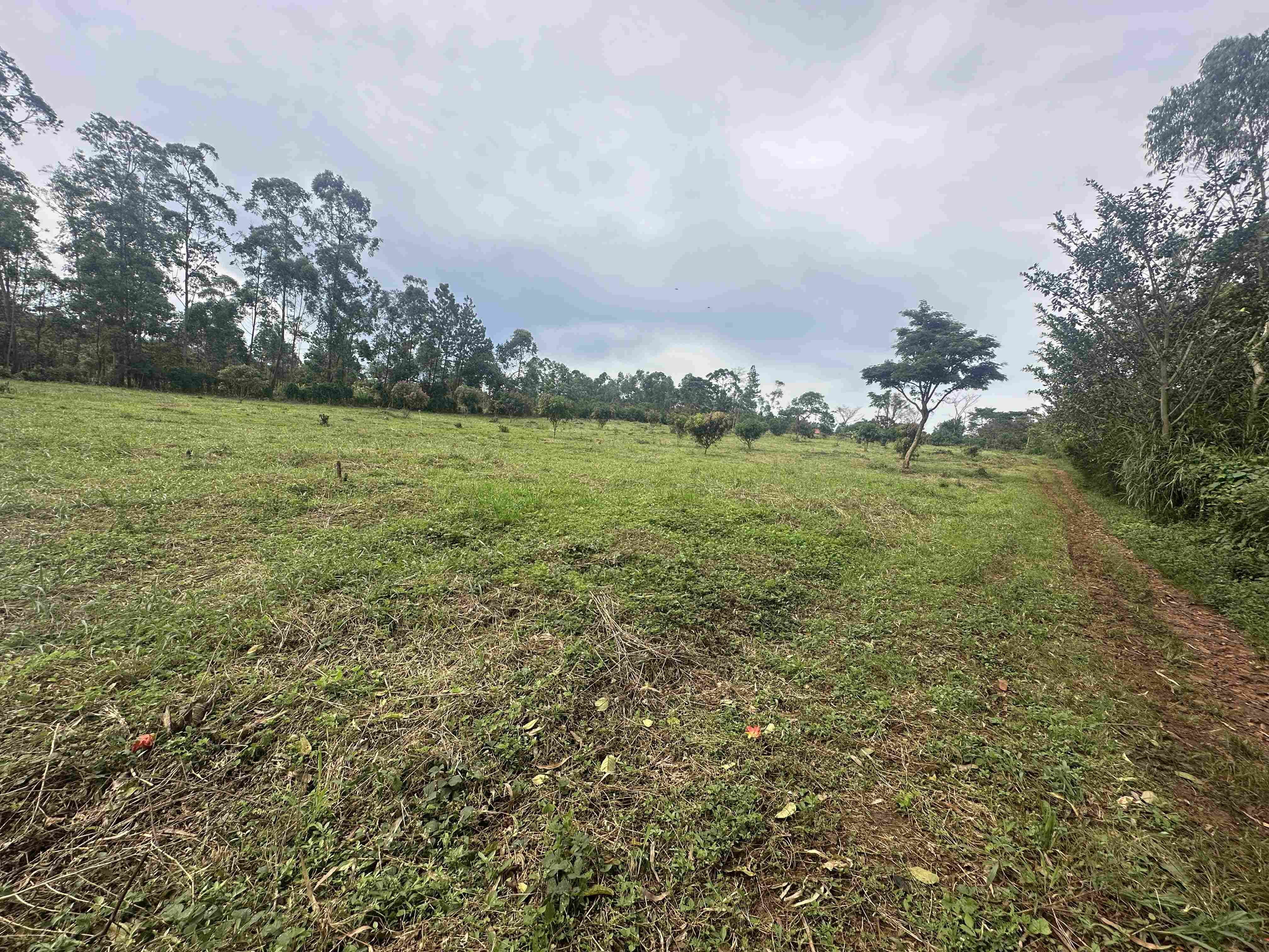 HAMA SERENITY ESTATES - BUGEMA — Affordable Land for Sale at Afredim Consults